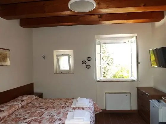 Standard Tek Büyük Yataklı Oda, 1 Çift Kişilik Yatak