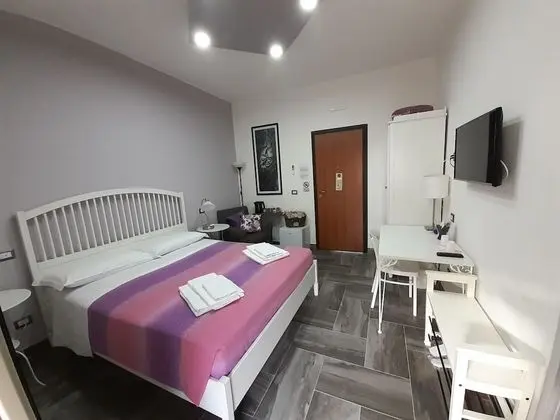 Superior Tek Büyük Yataklı Oda, 1 Büyük (Queen) Boy Yatak, Şehir Manzaralı