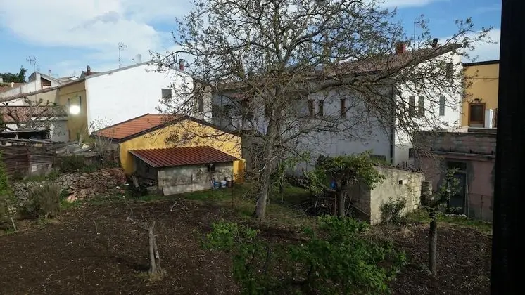 Basic Tek Büyük veya İki Ayrı Yataklı Oda, Ortak Banyo