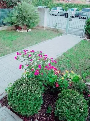 Apart Daire, 2 Yatak Odası, Balkon