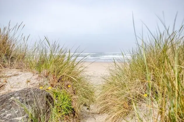 Ev, Birden Çok Yatak (Casa Rosa Tierra Del Marsh)