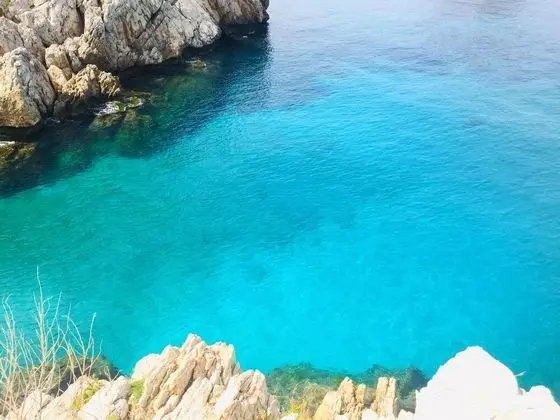 Apart Daire, 1 Yatak Odası, Engellilere Uygun, Teras