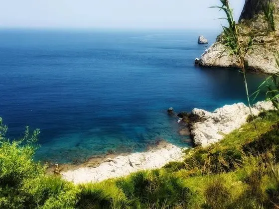 Apart Daire, 1 Yatak Odası, Engellilere Uygun, Teras