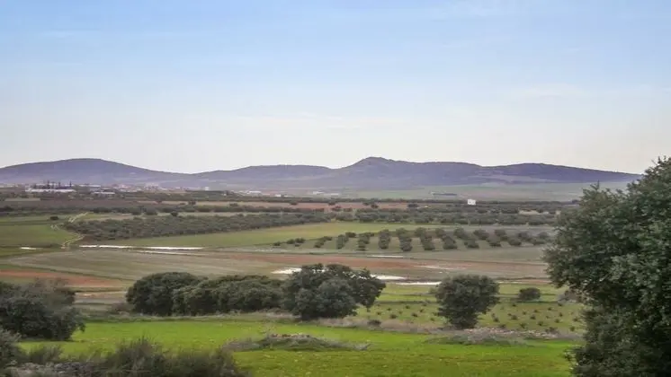 Ev, 4 Yatak Odası (room or whole house)