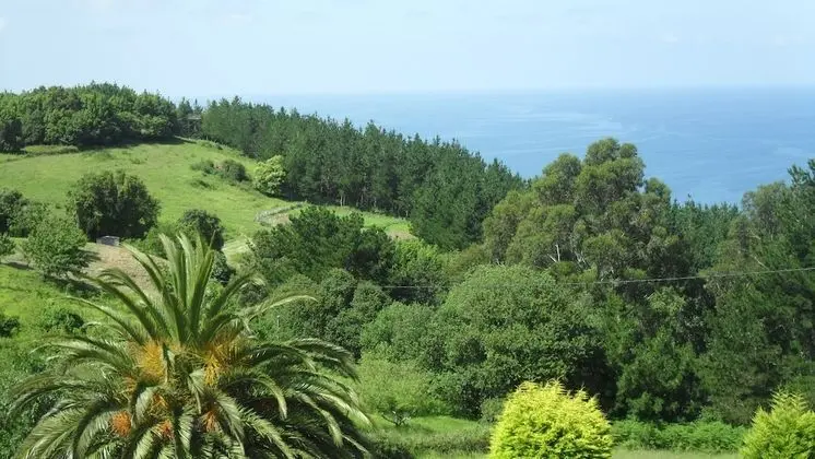 Tek Büyük Yataklı Oda, Banyolu/Duşlu, Dağ Manzaralı