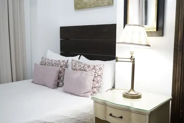 Standard Tek Büyük Yataklı Oda, 1 Çift Kişilik Yatak