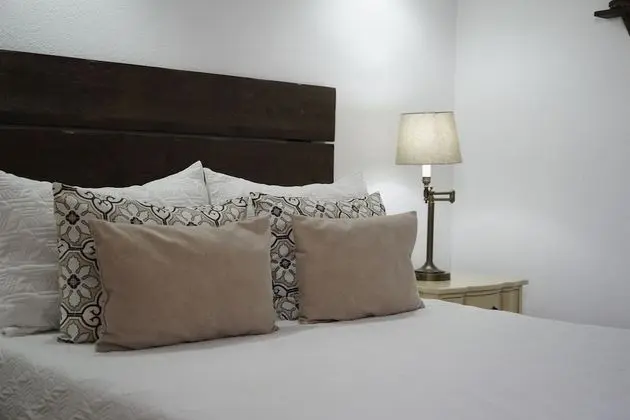 Standard Tek Büyük Yataklı Oda, 1 Çift Kişilik Yatak