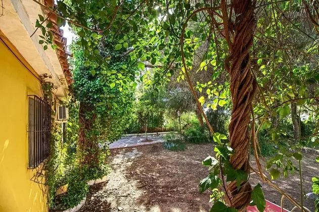 Family Villa, Kişiye Özel Havuzlu