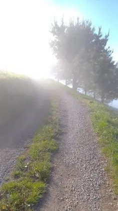 Kır Evi, Engellilere Uygun, Özel Banyo