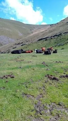 Kır Evi, Engellilere Uygun, Özel Banyo