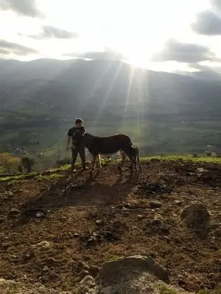 Kır Evi, Engellilere Uygun, Özel Banyo