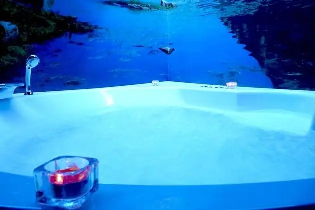 Romantic Stüdyo Süit, Jakuzi