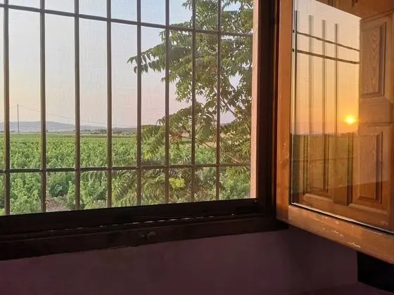 Family Ev, Birden Çok Yatak, Sigara İçilmez, Üzüm Asması Manzaralı