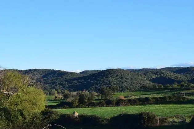 Ev, 3 Yatak Odası, Bahçe Manzaralı