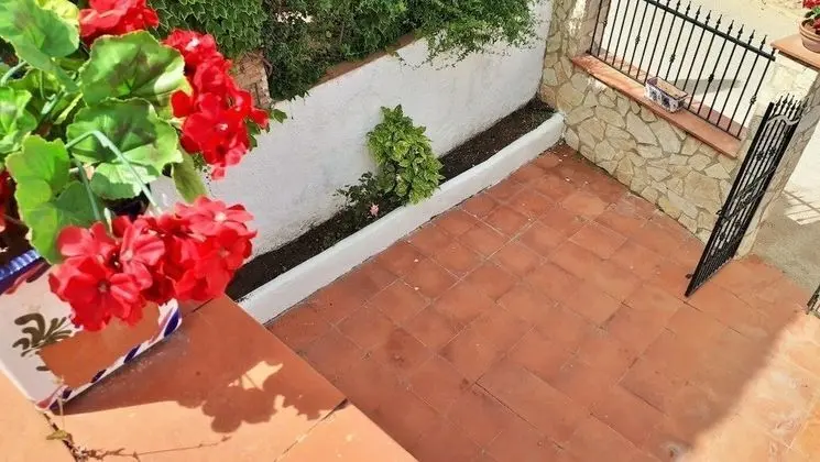 Ev, 5 Yatak Odası, Teras