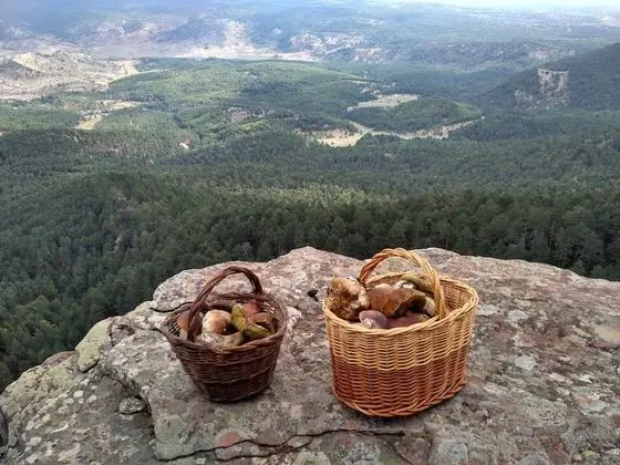 Ev, 2 Yatak Odası, Dağ Manzaralı
