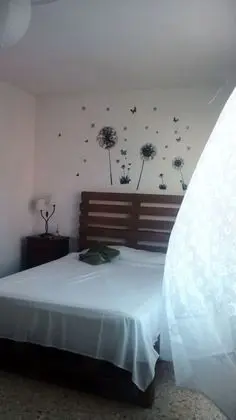 Basic Tek Büyük Yataklı Oda, 1 Çift Kişilik Yatak, Teras