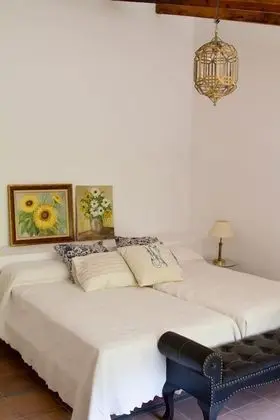 Tek Büyük Yataklı Oda, Dağ Manzaralı