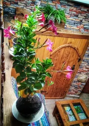 Traditional Ev, Birden Çok Yatak Odası