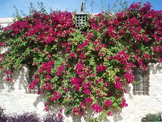 Casas Rurales para grupos (24-28 personas)