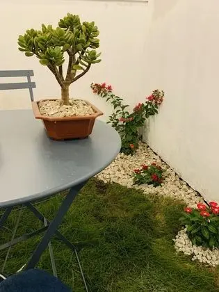 Standard Tek Büyük Yataklı Oda, 2 Büyük (Queen) Boy Yatak, Avlu