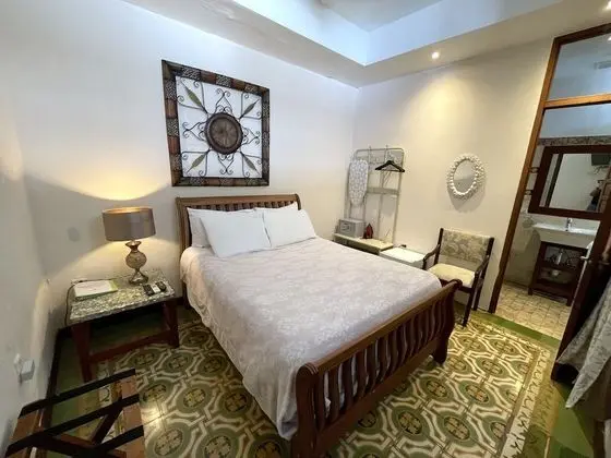 Standard Tek Büyük Yataklı Oda, Sigara İçilmez, Özel Banyo