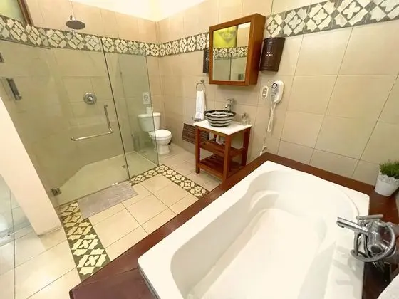 Superior Tek Büyük veya İki Ayrı Yataklı Oda, Sigara İçilmez, Özel Banyo