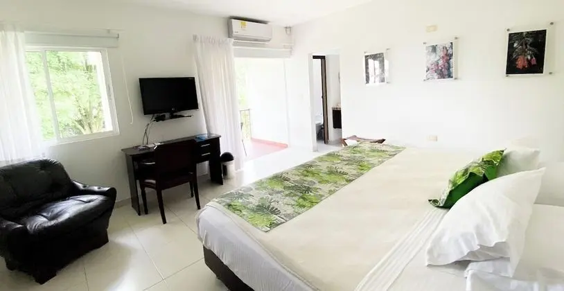 Superior Tek Büyük Yataklı Oda