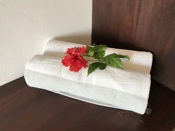 Family Tek Büyük Yataklı Oda, 1 Yatak Odası, Sigara İçilmez, Teras