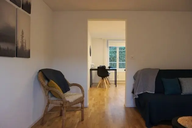 Apart Daire, 1 Yatak Odası, Mikrodalga