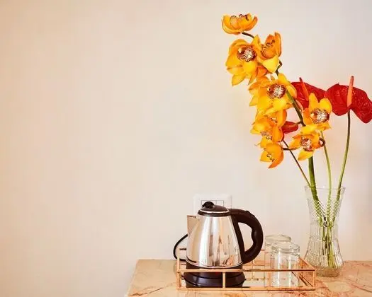 Tek Büyük Yataklı Oda, Teras, Tepe Manzaralı