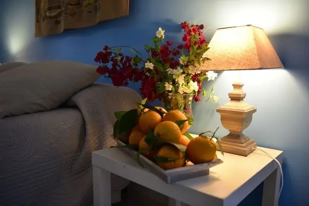 Superior Tek Büyük veya İki Ayrı Yataklı Oda, Bahçe Manzaralı