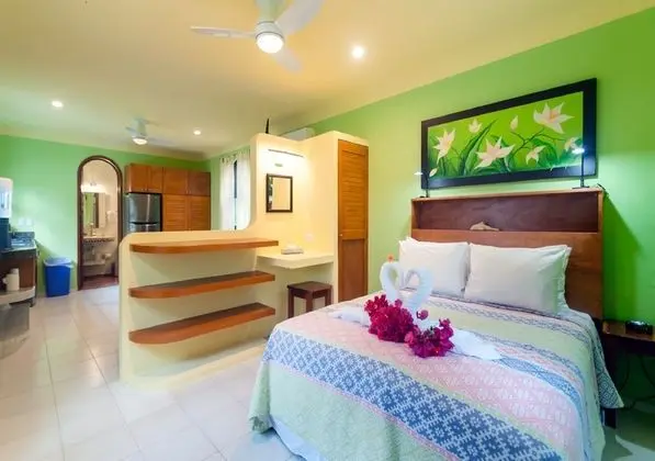 Standard Apart Daire, 1 Yatak Odası, Mutfak, Havuz Kenarı