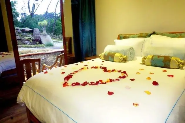 Ortak Ranzalı Oda, 1 Yatak Odası, Engellilere Uygun, Sauna