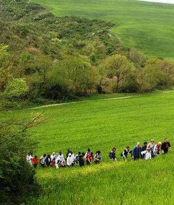 Apart Daire, 2 Yatak Odası, Sigara İçilebilir, Buzdolabı