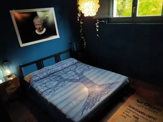 Tek Büyük Yataklı Oda, Ortak Banyo, Zemin Kat (Blu)