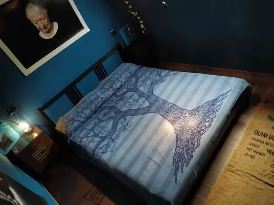 Tek Büyük Yataklı Oda, Ortak Banyo, Zemin Kat (Blu)