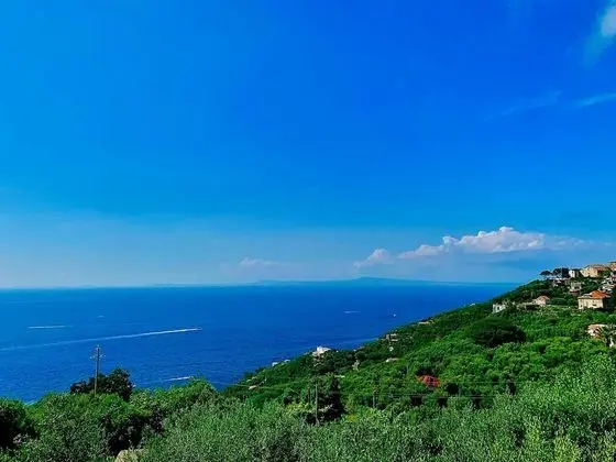 Ev, Sigara İçilebilir
