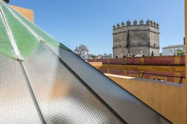 Royal Çatı Katı Süiti (Penthouse) (Giralda)