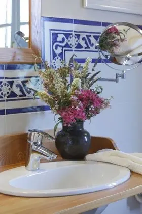 Superior Tek Büyük veya İki Ayrı Yataklı Oda, 1 Yatak Odası, Bahçe Manzaralı