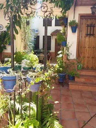 Ev, 4 Yatak Odası, Veranda
