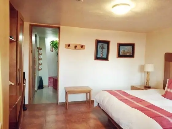 Superior Tek Kişilik Oda, 1 En Büyük (King) Boy Yatak, Jakuzi