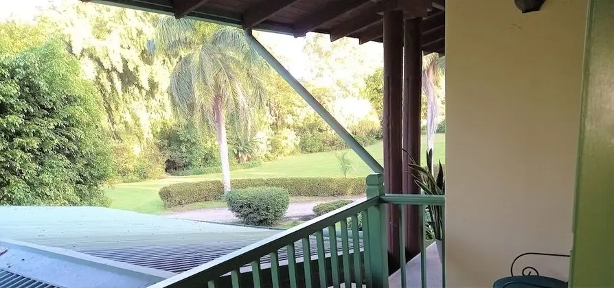 Deluxe Oda, 1 En Büyük (King) Boy Yatak