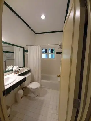 Deluxe Oda, 1 En Büyük (King) Boy Yatak