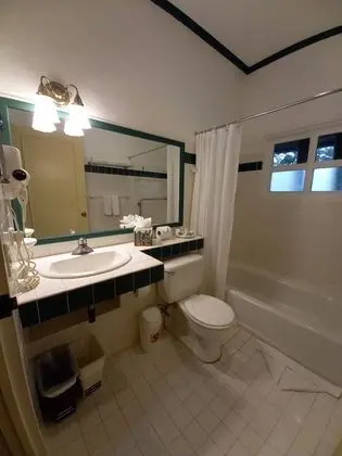 Deluxe Oda, 1 En Büyük (King) Boy Yatak