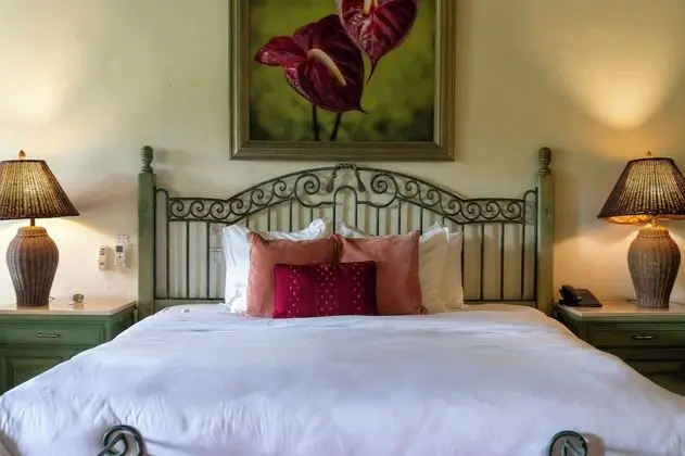 Süit, 1 En Büyük (King) Boy Yatak