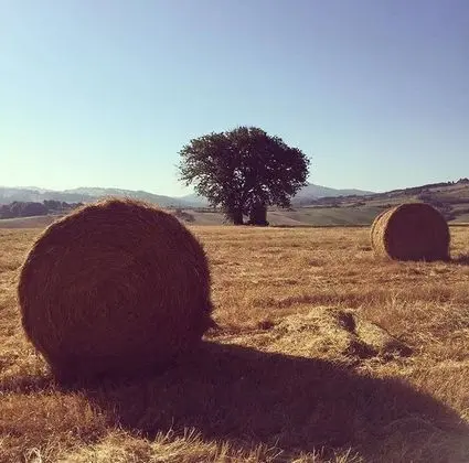 Apart Daire, 2 Yatak Odası, Sigara İçilebilir, Balkon