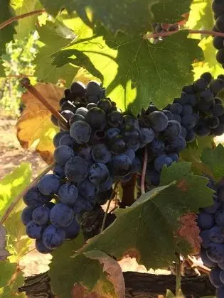 Apart Daire, 2 Yatak Odası, Sigara İçilebilir, Balkon