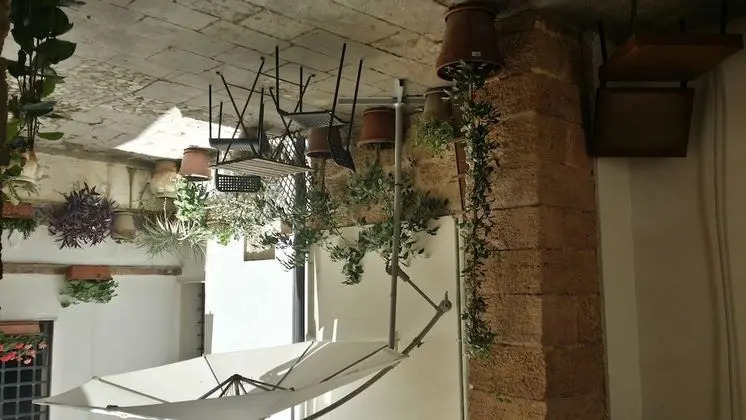 Elite Apart Daire, 1 Yatak Odası, Engellilere Uygun, Mutfak