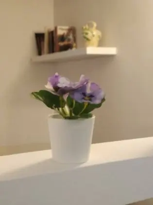 Apart Daire, 1 Yatak Odası, Mikrodalga